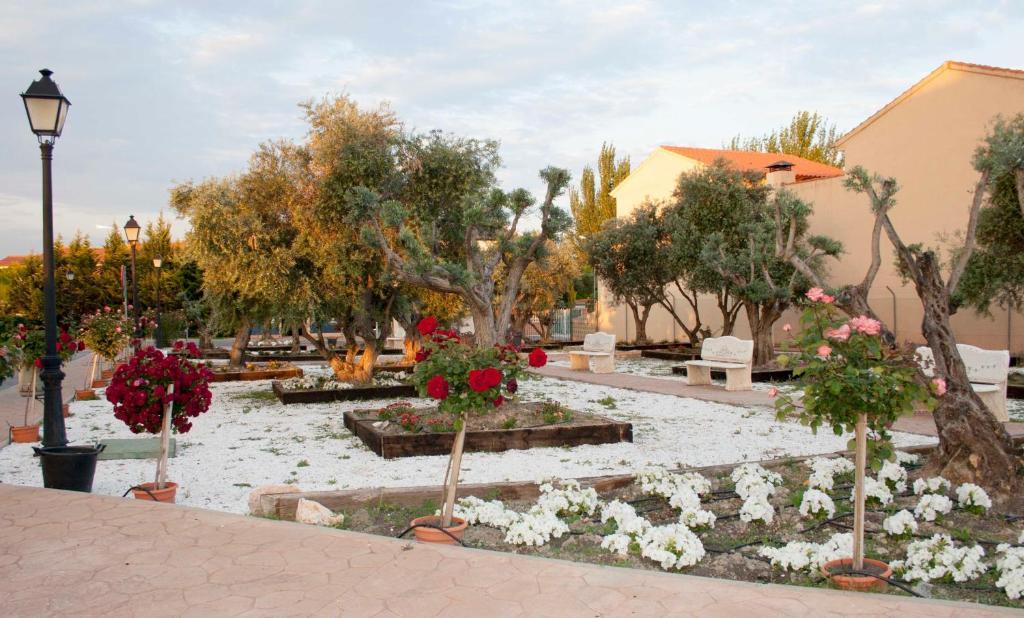 Las Olivas- Borox Aparthotel Sesena Nuevo Bagian luar foto